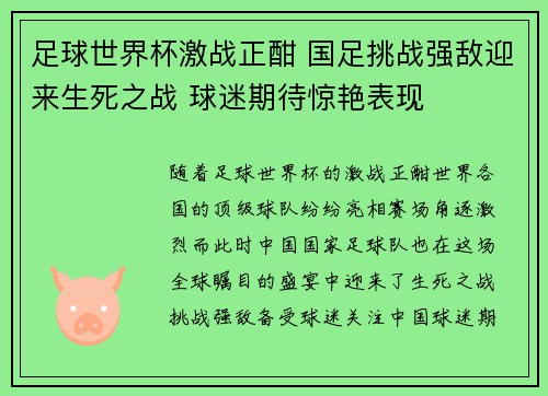 足球世界杯激战正酣 国足挑战强敌迎来生死之战 球迷期待惊艳表现