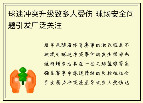 球迷冲突升级致多人受伤 球场安全问题引发广泛关注