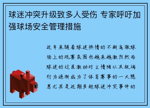 球迷冲突升级致多人受伤 专家呼吁加强球场安全管理措施